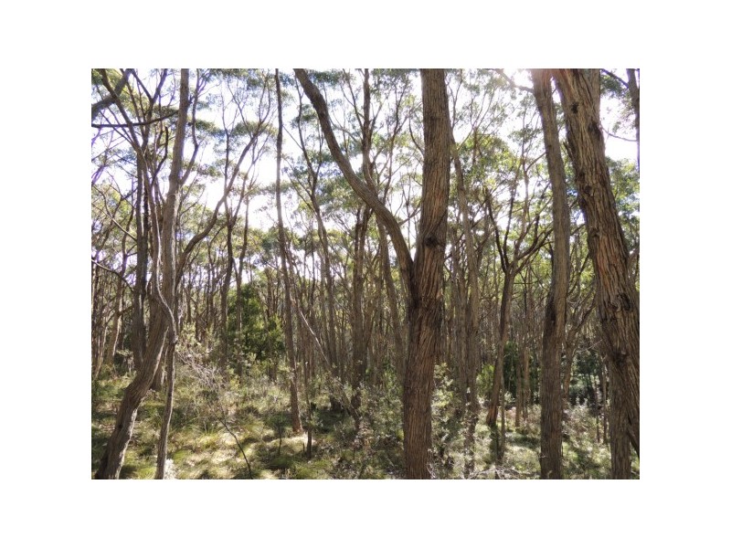 Lot 6,  Forrest Road, Carey Gully SA 5144