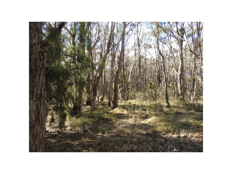 Lot 6,  Forrest Road, Carey Gully SA 5144