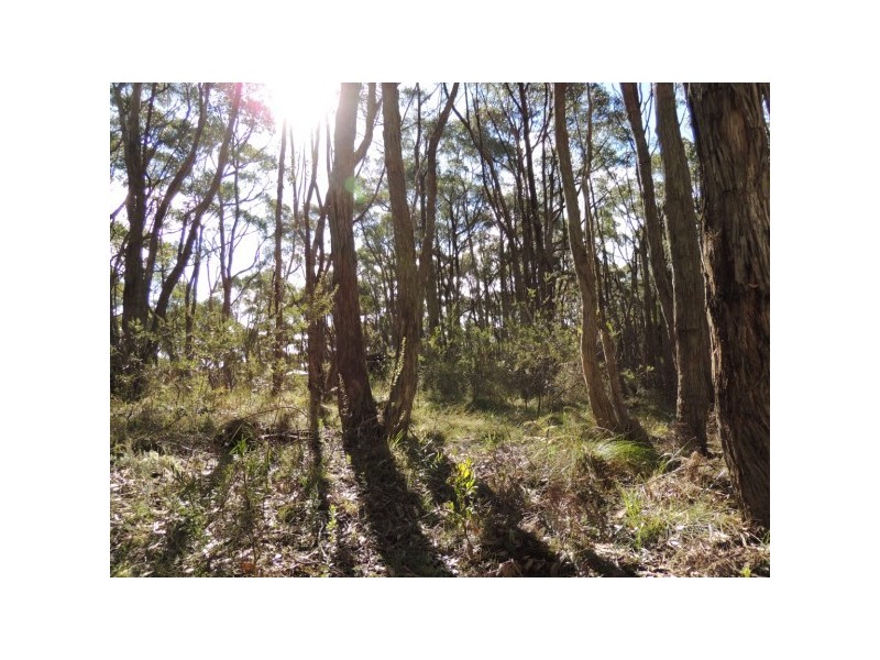 Lot 6,  Forrest Road, Carey Gully SA 5144