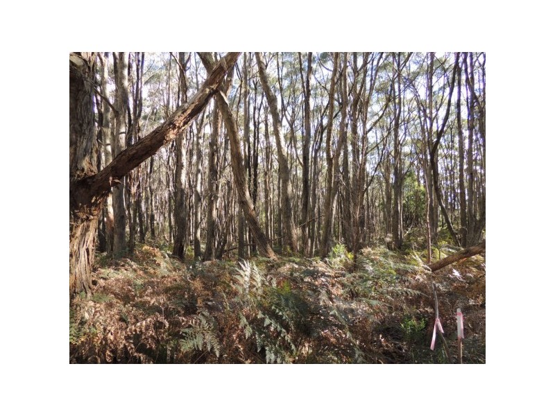 Lot 6,  Forrest Road, Carey Gully SA 5144