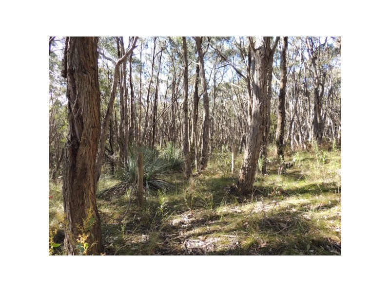 Lot 6,  Forrest Road, Carey Gully SA 5144