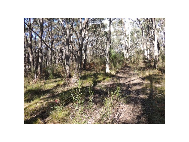 Lot 6,  Forrest Road, Carey Gully SA 5144
