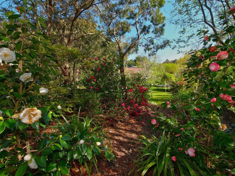 14 Dalton Avenue, Aldgate SA 5154