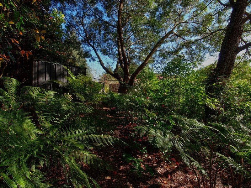 14 Dalton Avenue, Aldgate SA 5154