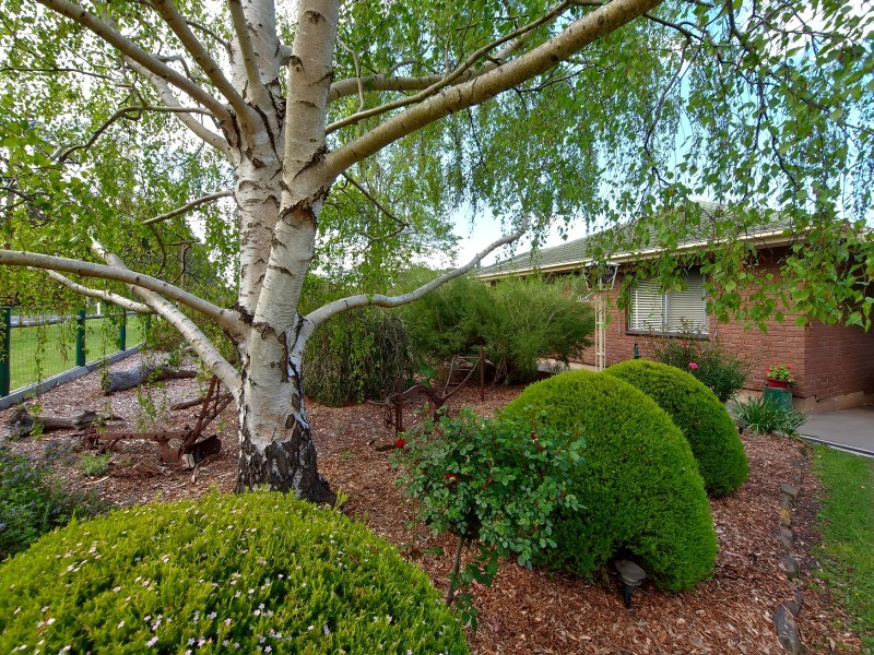 183 Shadygrove Road, Macclesfield SA 5153