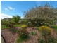 183 Shadygrove Road, Macclesfield SA 5153