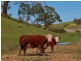 183 Shadygrove Road, Macclesfield SA 5153