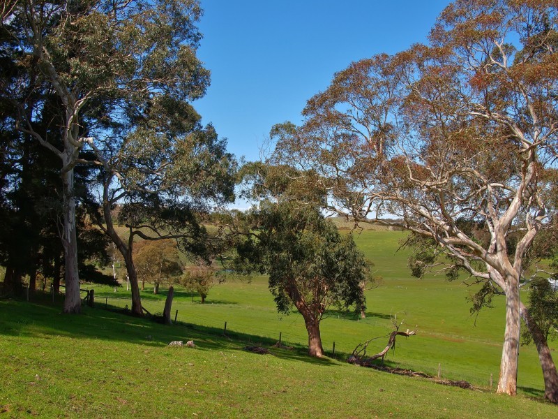 183 Shadygrove Road, Macclesfield SA 5153