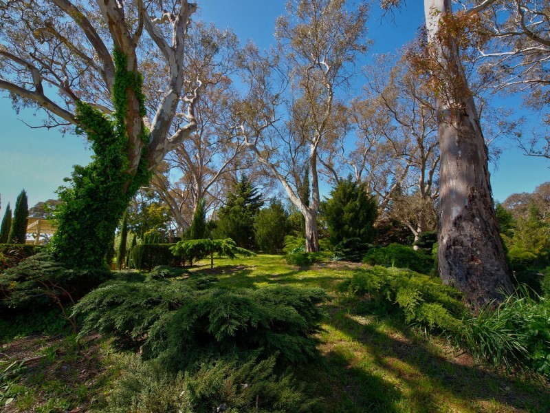 10 Dorset Lane, Oakbank SA 5243