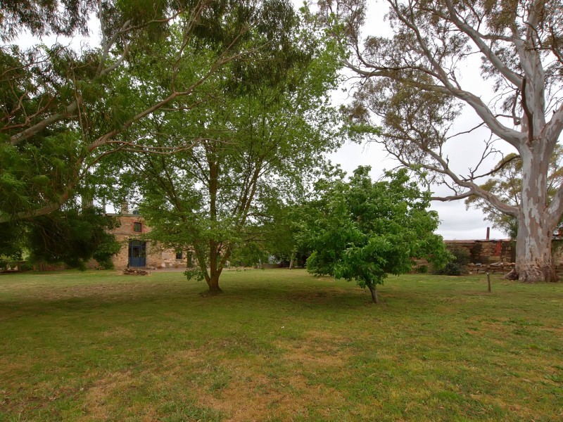 204 Newman Road, Charleston SA 5244