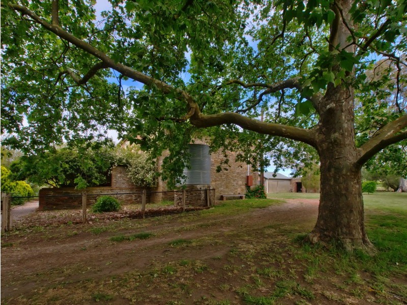 204 Newman Road, Charleston SA 5244