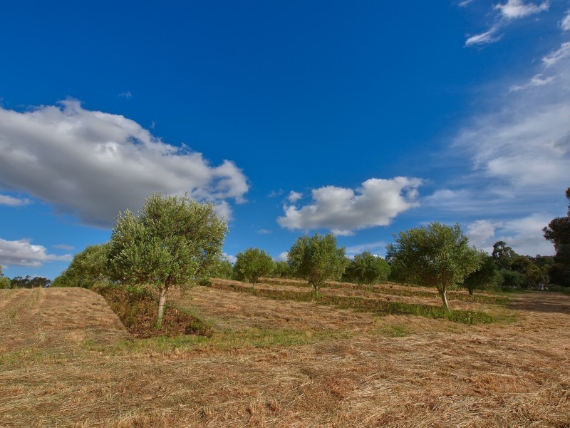 106 Landara Road, Woodside SA 5244