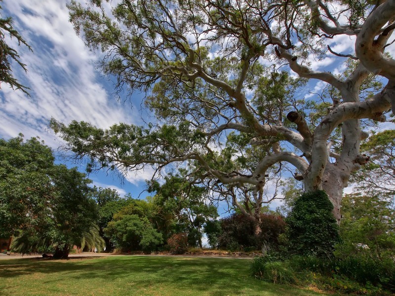 179 Donoghue Road, Woodside SA 5244