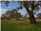 179 Donoghue Road, Woodside SA 5244