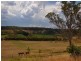 Lot 16 Onkaparinga Valley Road (Commonly known as Birdwood – Mt Torrens Road), Mount Torrens SA 5244