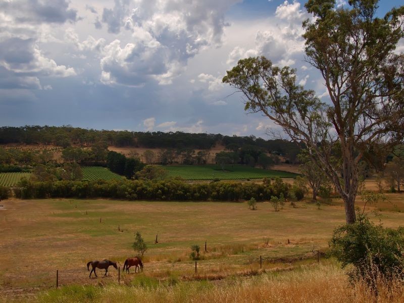 Lot 16 Onkaparinga Valley Road (Commonly known as Birdwood – Mt Torrens Road), Mount Torrens SA 5244