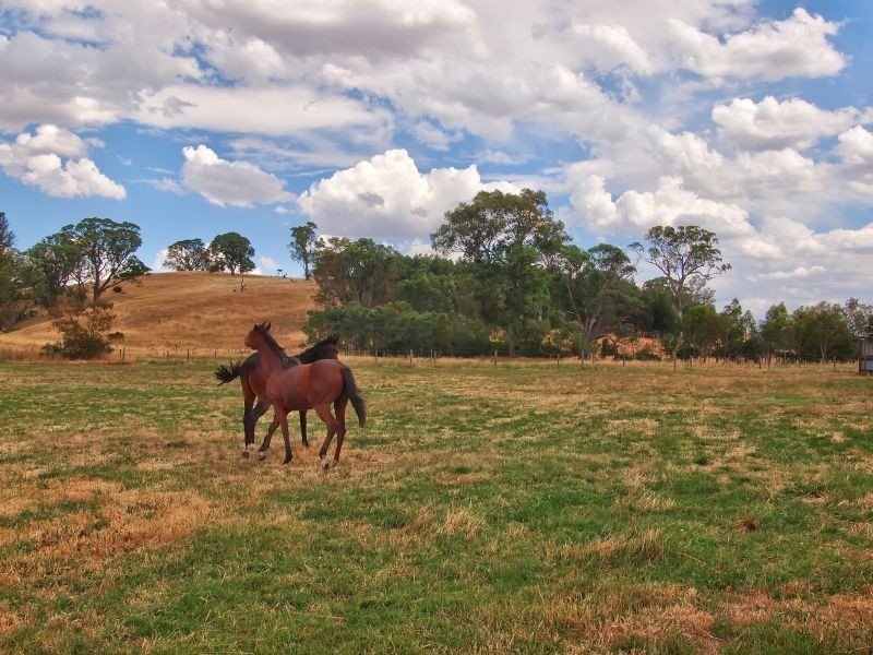 Lot 16 Onkaparinga Valley Road (Commonly known as Birdwood – Mt Torrens Road), Mount Torrens SA 5244