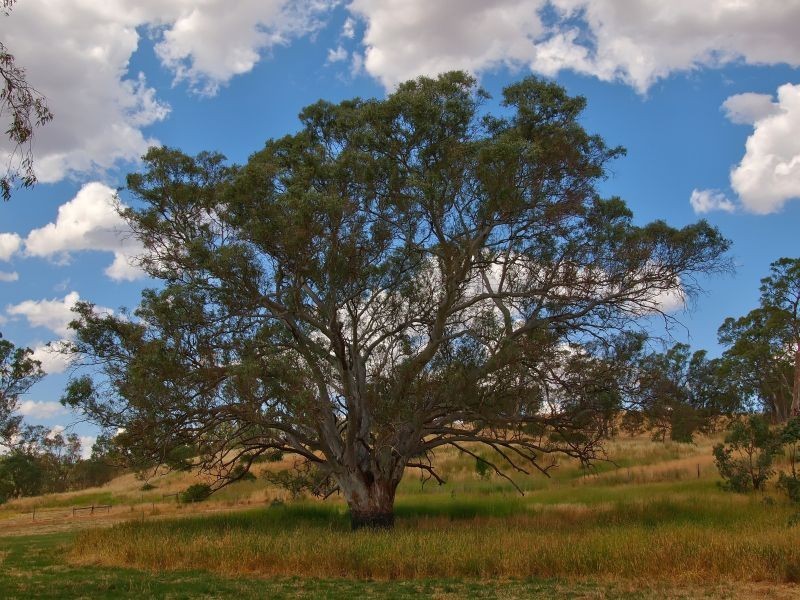 Lot 16 Onkaparinga Valley Road (Commonly known as Birdwood – Mt Torrens Road), Mount Torrens SA 5244