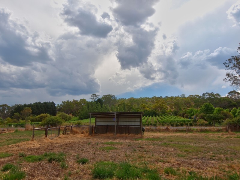 Lot 16 Onkaparinga Valley Road (Commonly known as Birdwood – Mt Torrens Road), Mount Torrens SA 5244
