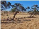 1840 Old Princes Highway, Kanmantoo SA 5252
