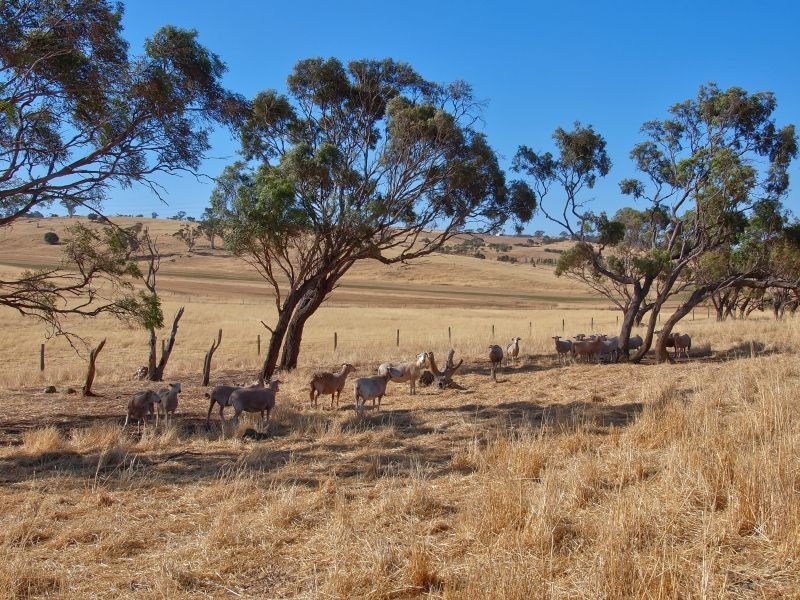 1840 Old Princes Highway, Kanmantoo SA 5252