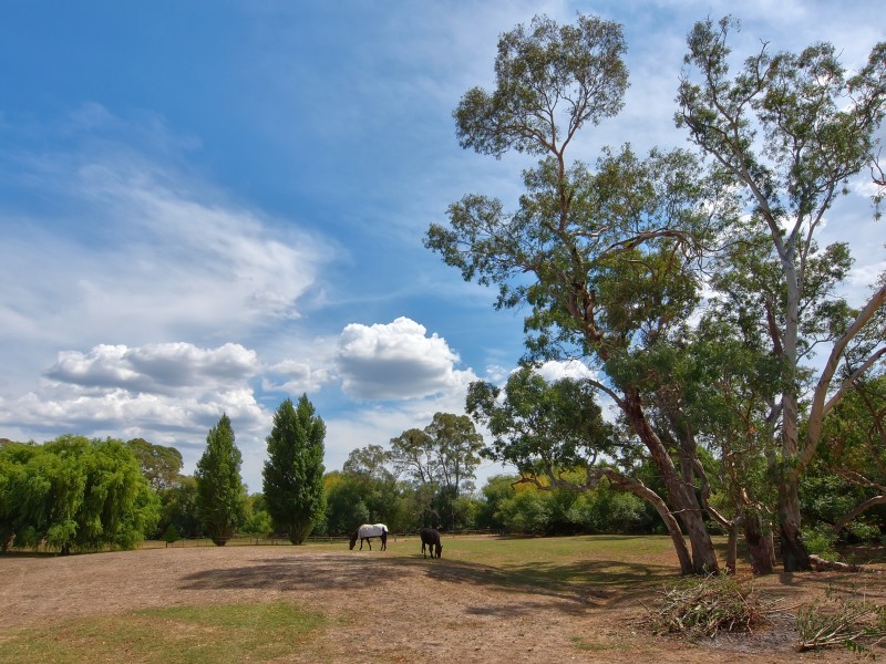 889 Onkaparinga Valley Road, Oakbank SA 5243