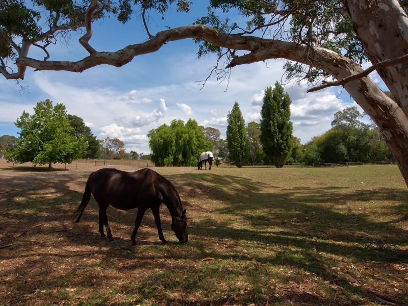 889 Onkaparinga Valley Road, Oakbank SA 5243