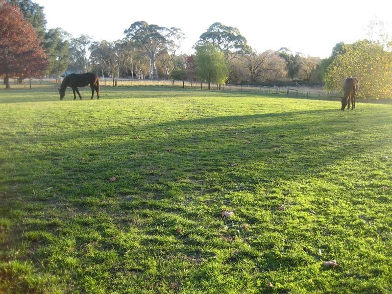 889 Onkaparinga Valley Road, Oakbank SA 5243