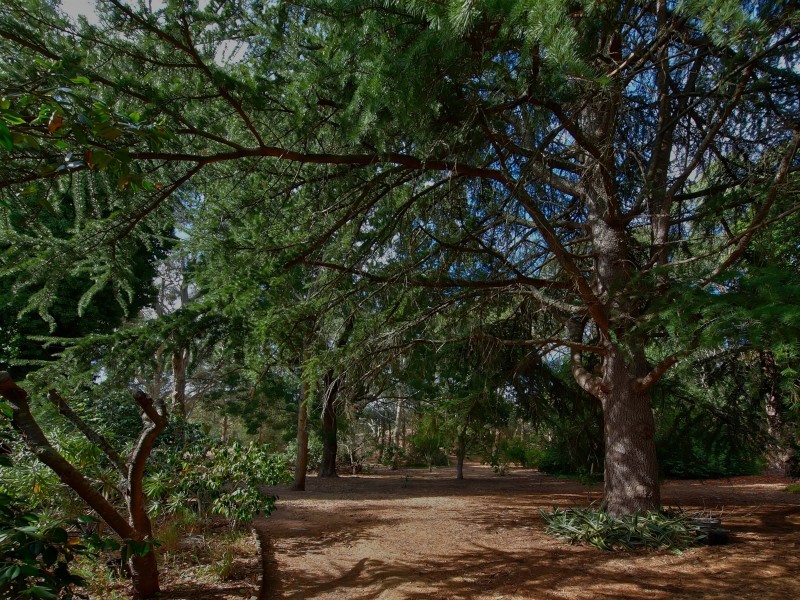 31 Wicks Road, Balhannah SA 5242