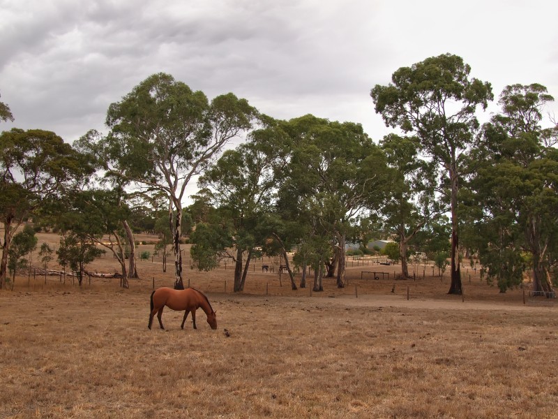29 Mace Road, Nairne SA 5252