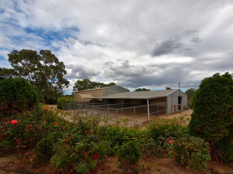 29 Mace Road, Nairne SA 5252