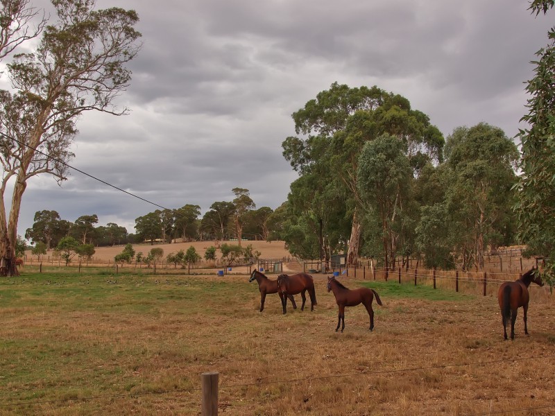 29 Mace Road, Nairne SA 5252