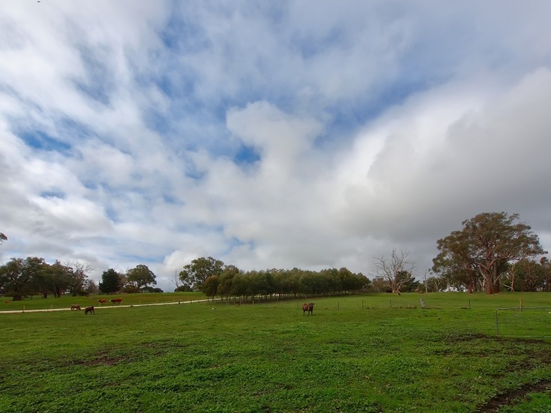 11 South Ridge Road, Woodside SA 5244