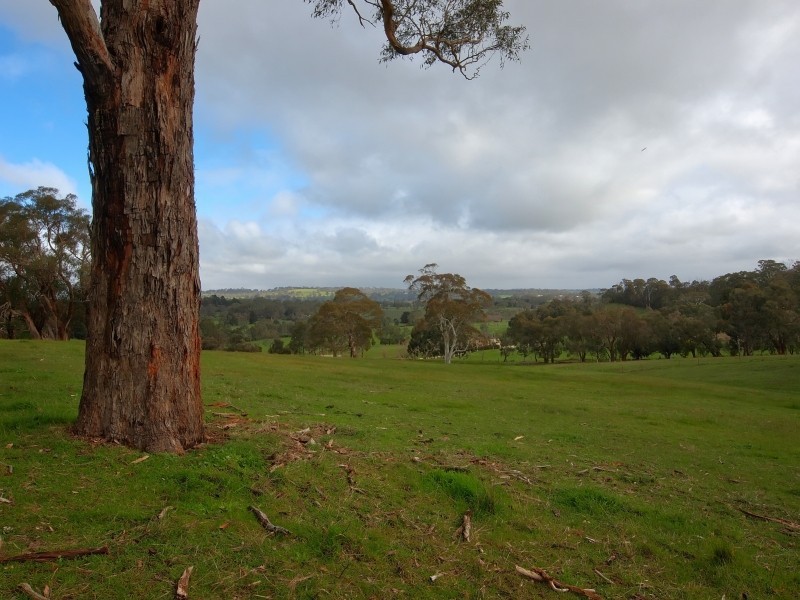 11 South Ridge Road, Woodside SA 5244