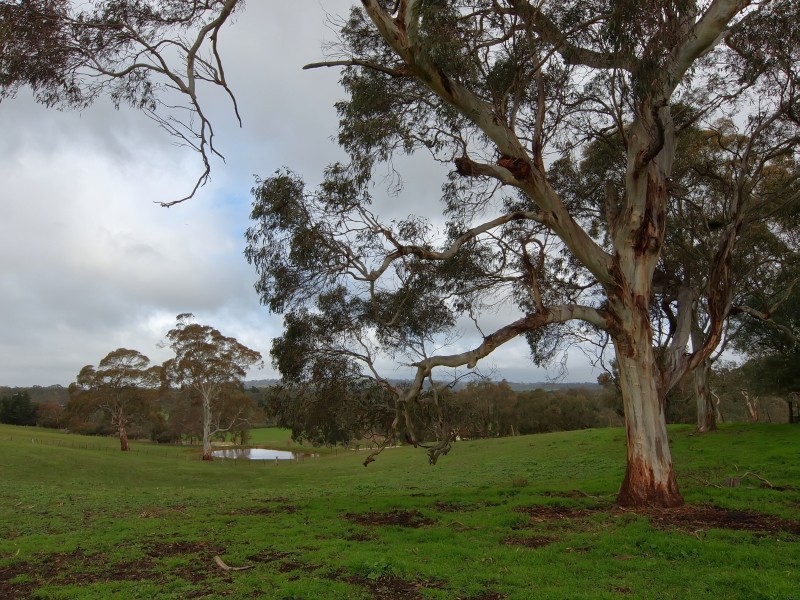 11 South Ridge Road, Woodside SA 5244