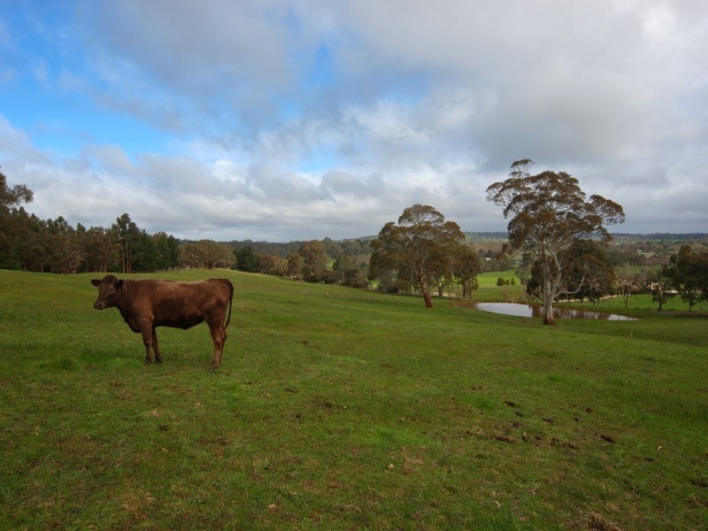 11 South Ridge Road, Woodside SA 5244