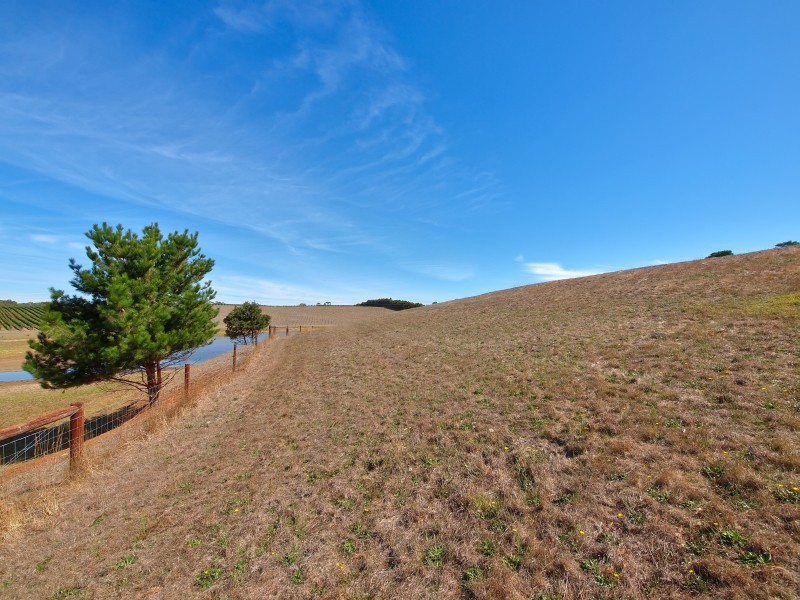 Lot 100 Jones Road, Balhannah SA 5242