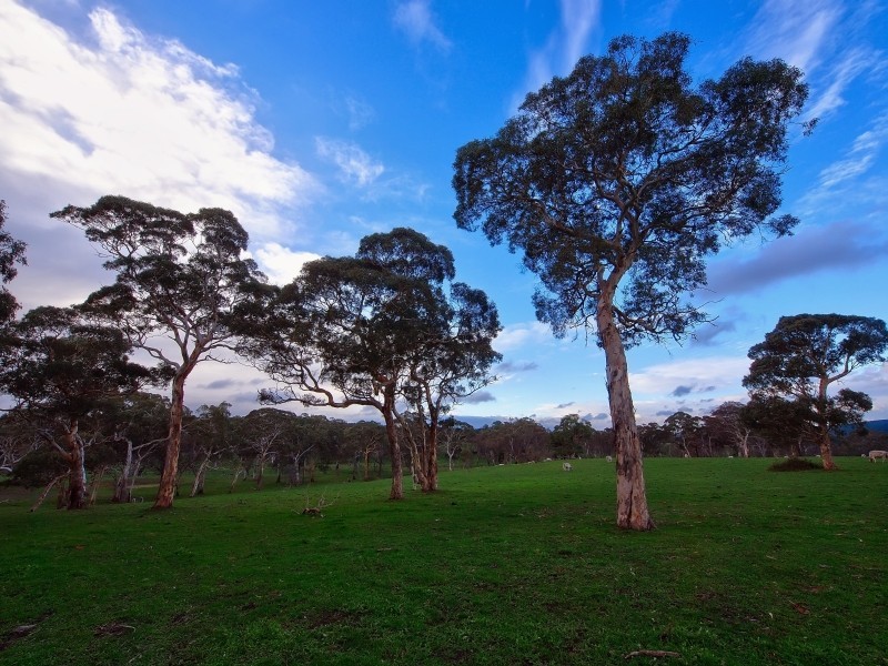 94 Pottery Road, Hope Forest SA 5172