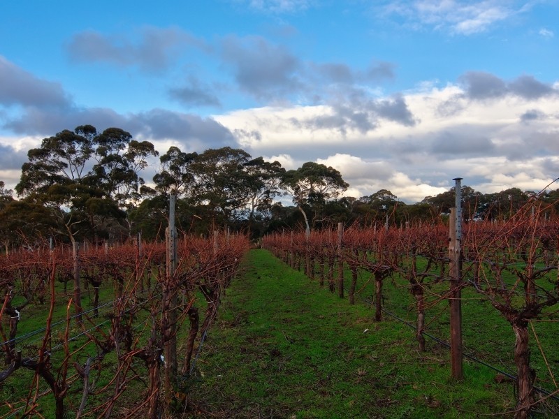 94 Pottery Road, Hope Forest SA 5172