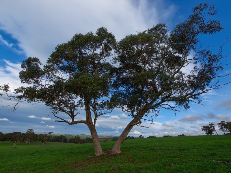 94 Pottery Road, Hope Forest SA 5172