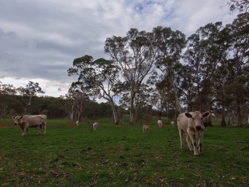 94 Pottery Road, Hope Forest SA 5172