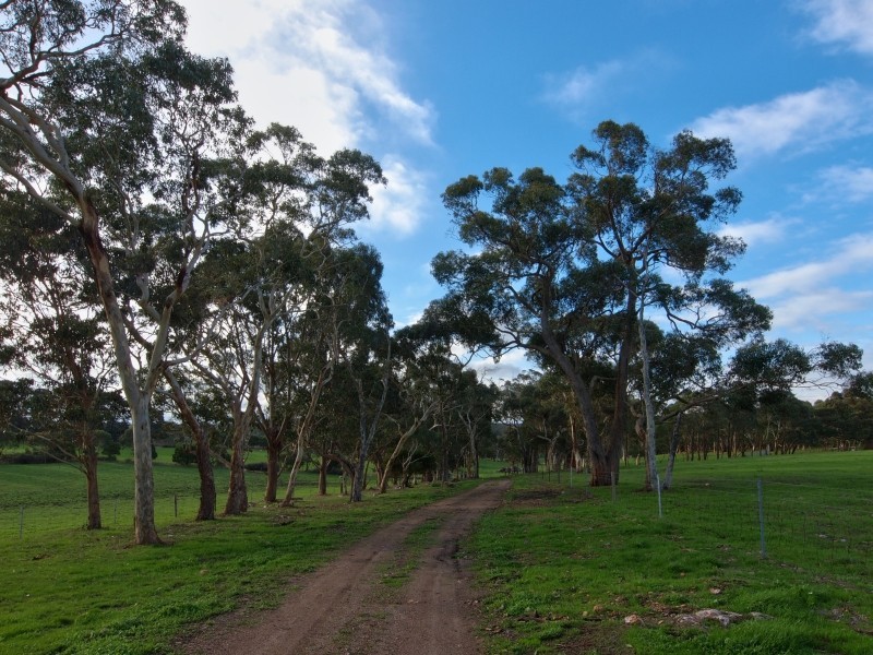 94 Pottery Road, Hope Forest SA 5172