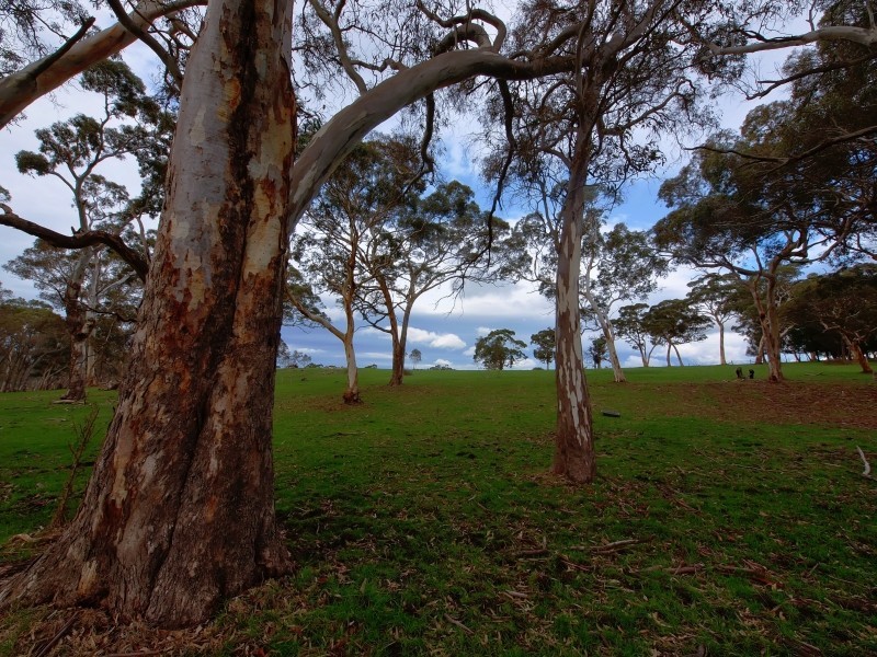 94 Pottery Road, Hope Forest SA 5172