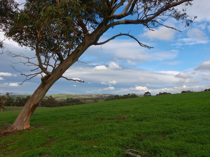 94 Pottery Road, Hope Forest SA 5172