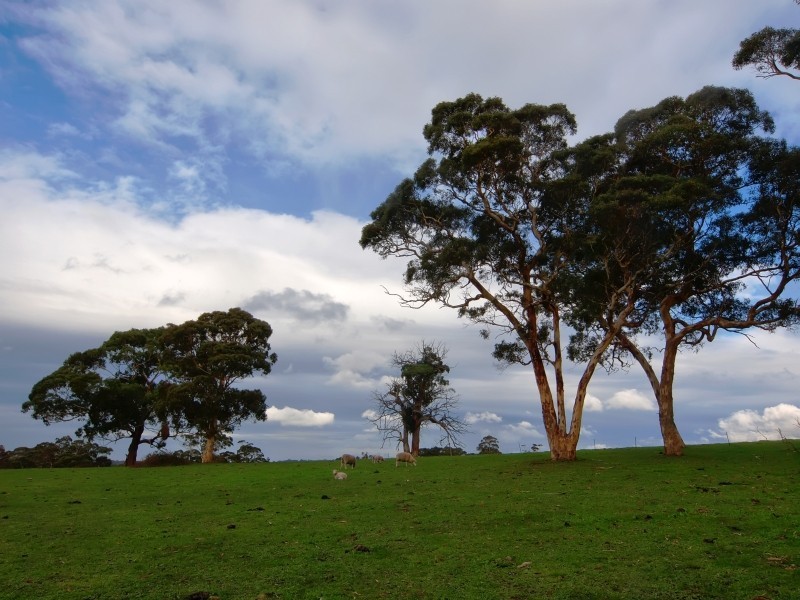 94 Pottery Road, Hope Forest SA 5172