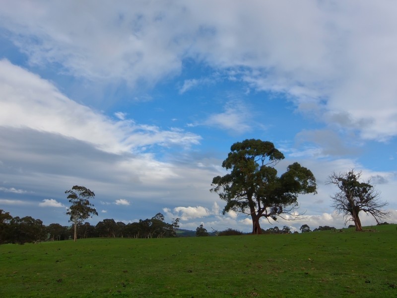 94 Pottery Road, Hope Forest SA 5172