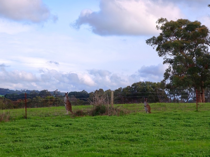 94 Pottery Road, Hope Forest SA 5172