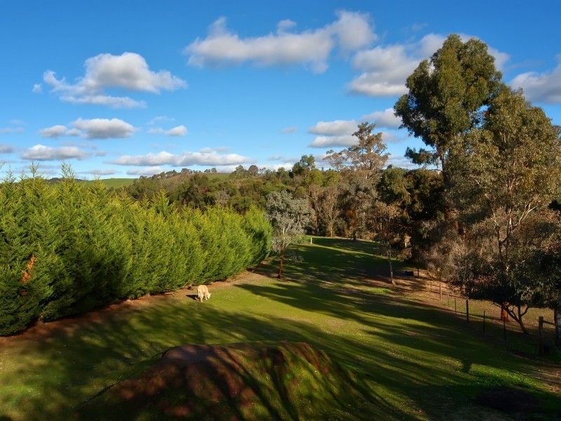 5 Angas Creek Road, Birdwood SA 5234