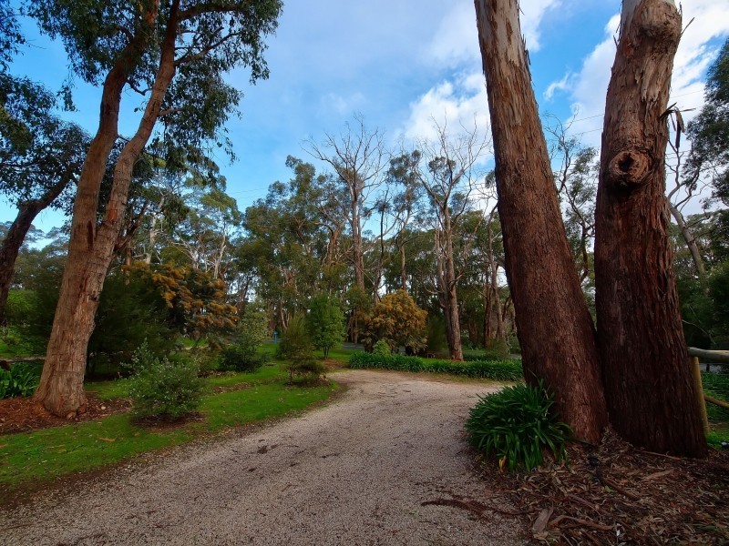 98 Sheoak Road, Crafers West SA 5152