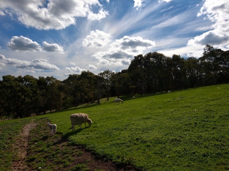 30 Karkoo Court, Mount Barker SA 5251